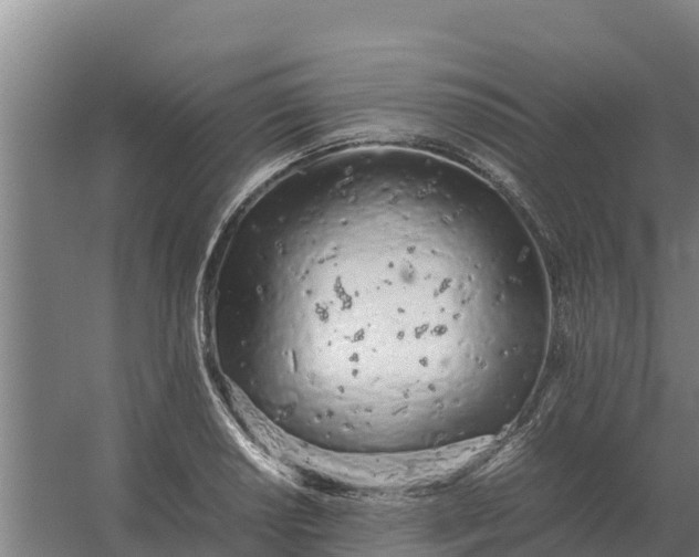 X0000059831034200511041740