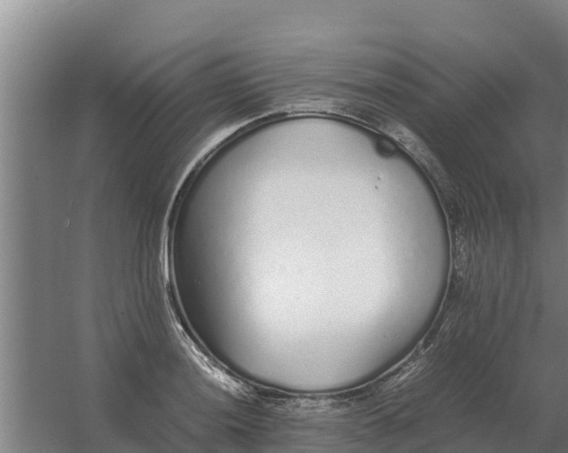 X0000059831036200511041740