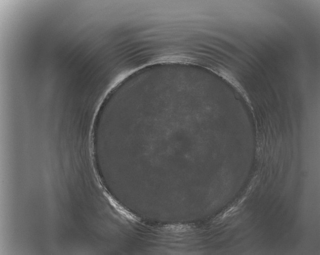 X0000059831037200511041741