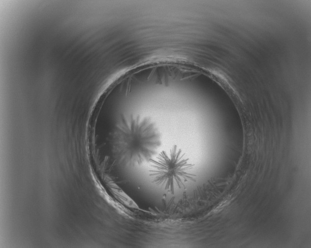 X0000059831038200511041741