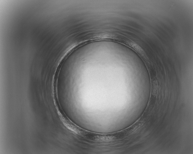 X0000059831039200511041741