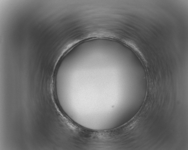 X0000059831040200511041741