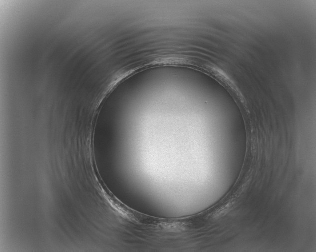 X0000059831041200511041741