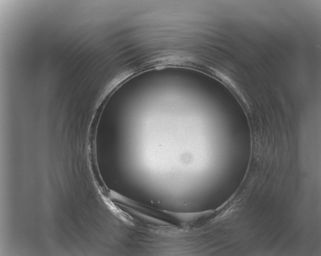 X0000059831042200511041741