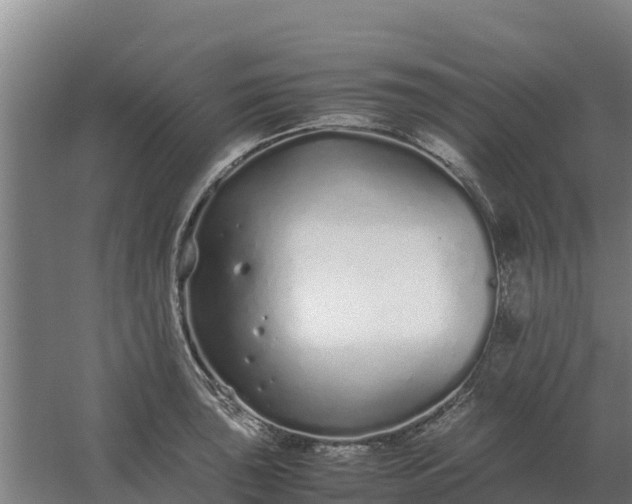 X0000059831043200511041741