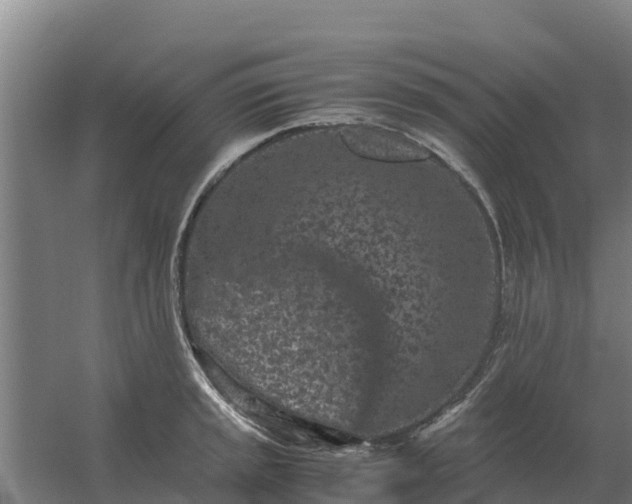 X0000059831045200511041741