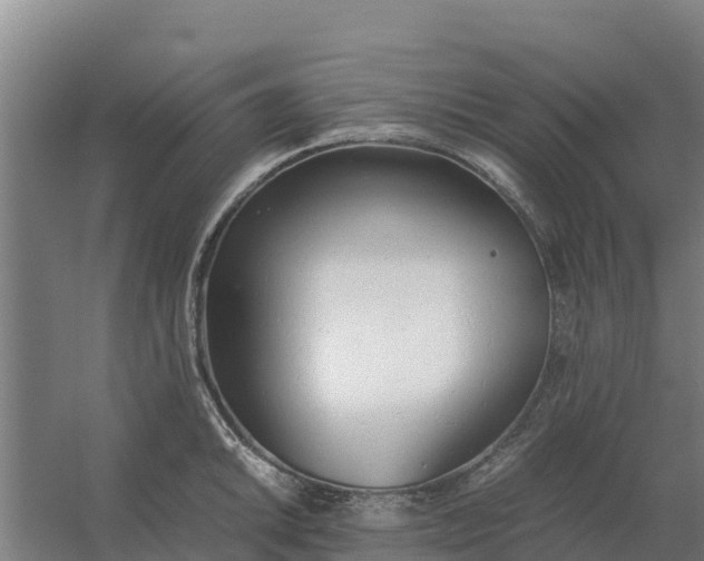 X0000059831046200511041741