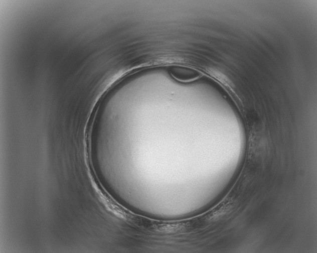 X0000059831047200511041741