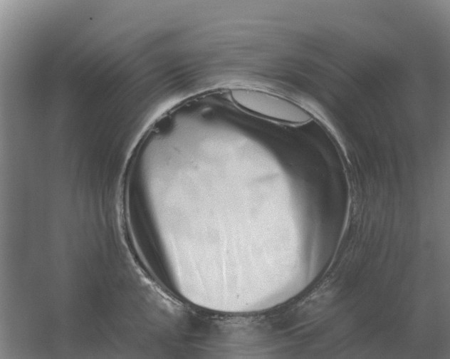 X0000059831048200511041741