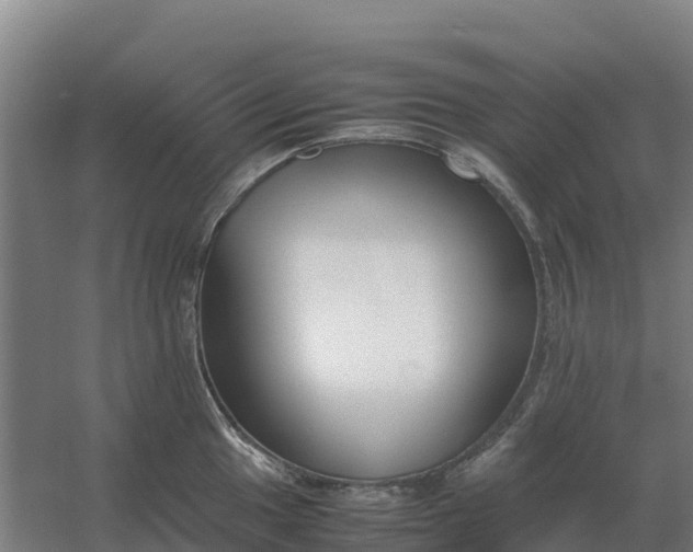 X0000059831049200511041741