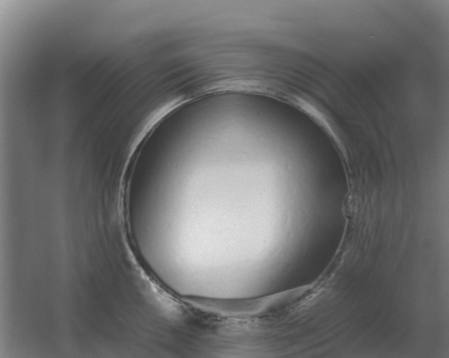 X0000059831050200511041741