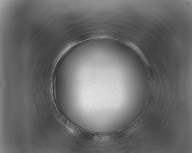 X0000059831051200511041741