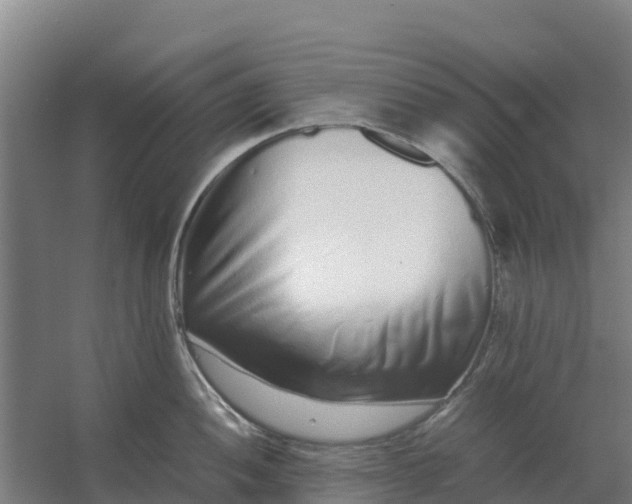 X0000059831052200511041741