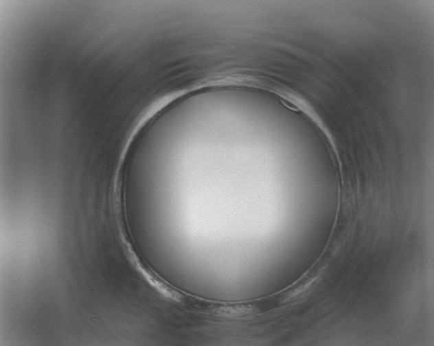 X0000059831053200511041741