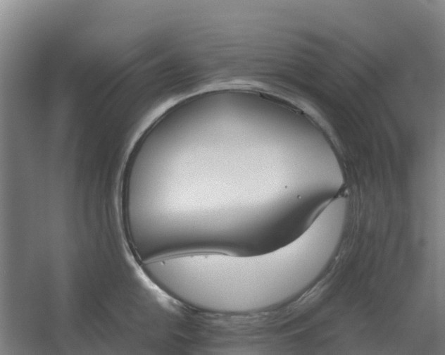 X0000059831054200511041741