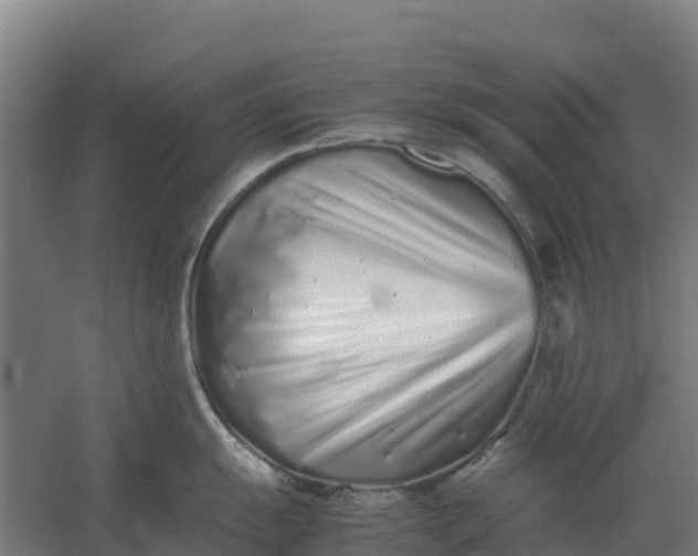 X0000059831055200511041741