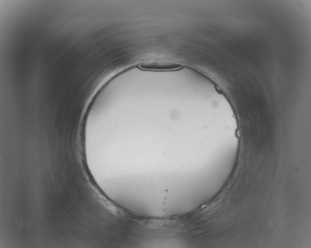 X0000059831056200511041741