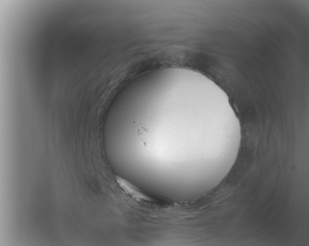 X0000059831057200511041740