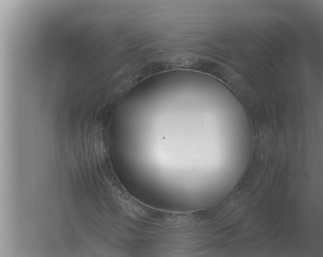 X0000059831058200511041740