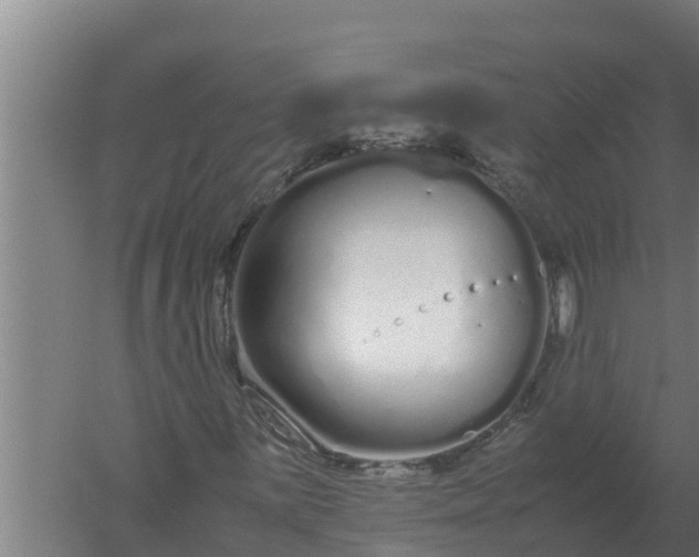 X0000059831059200511041740