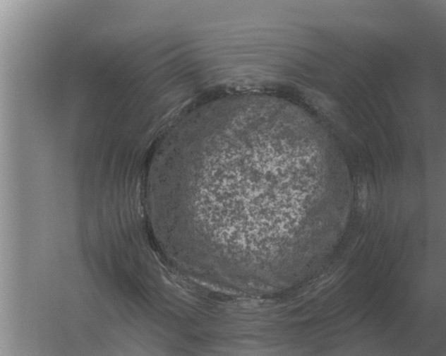 X0000059831060200511041740