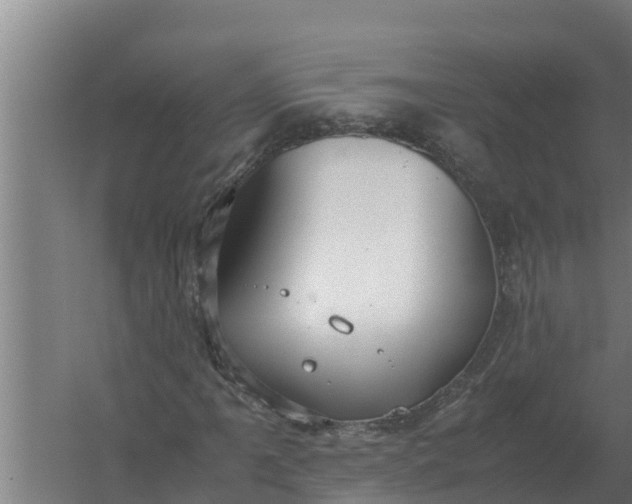 X0000059831061200511041740