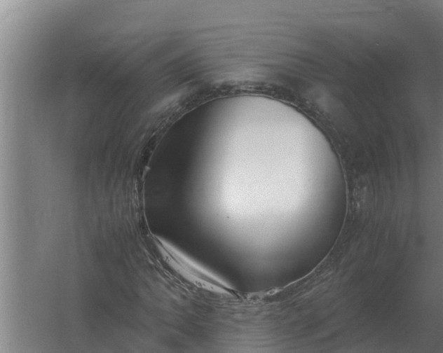 X0000059831062200511041740