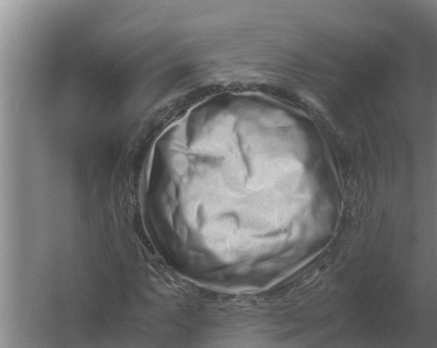 X0000059831063200511041740