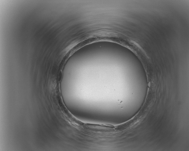 X0000059831065200511041740