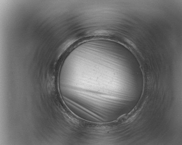 X0000059831066200511041740