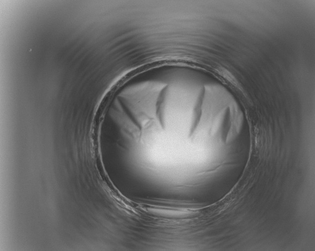 X0000059831068200511041740