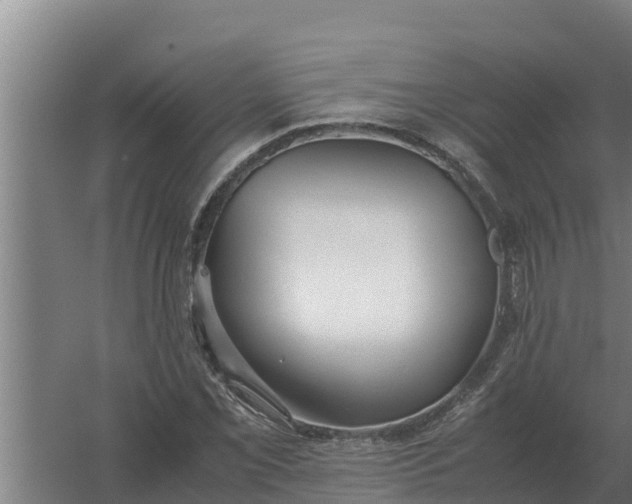 X0000059831069200511041740