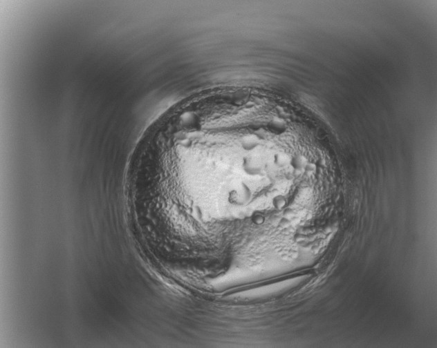 X0000059831071200511041740