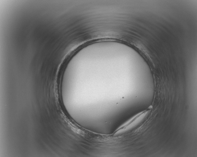 X0000059831072200511041740