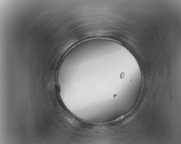 X0000059831073200511041740