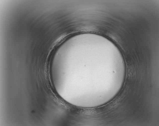 X0000059831074200511041740