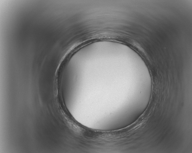 X0000059831075200511041740