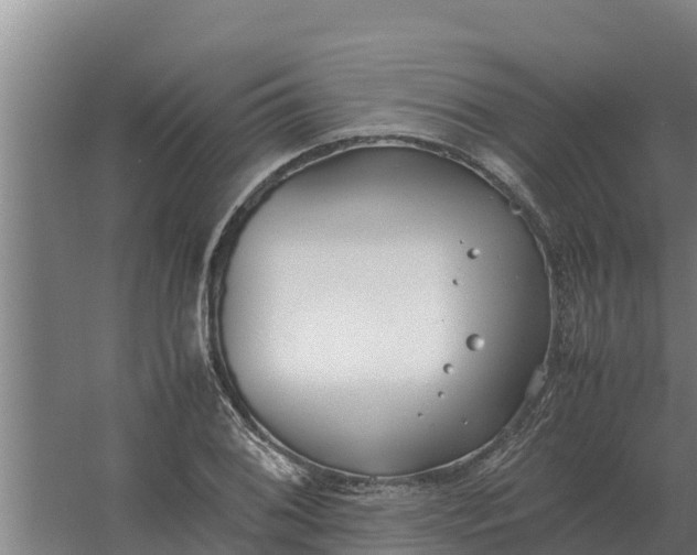 X0000059831076200511041740