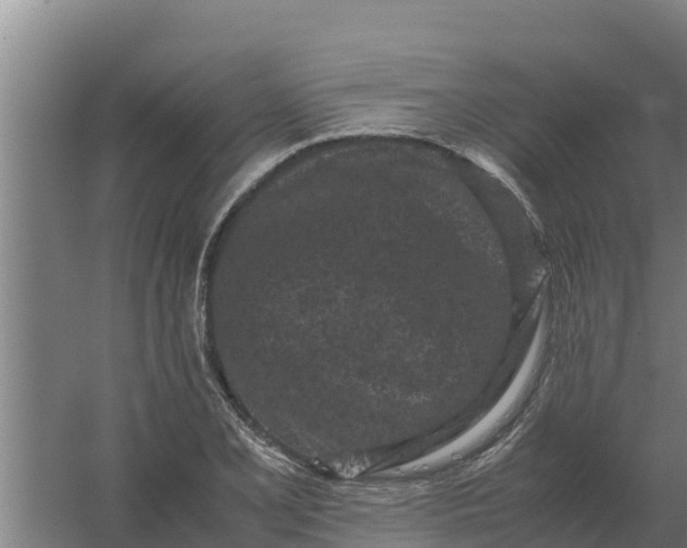 X0000059831077200511041740