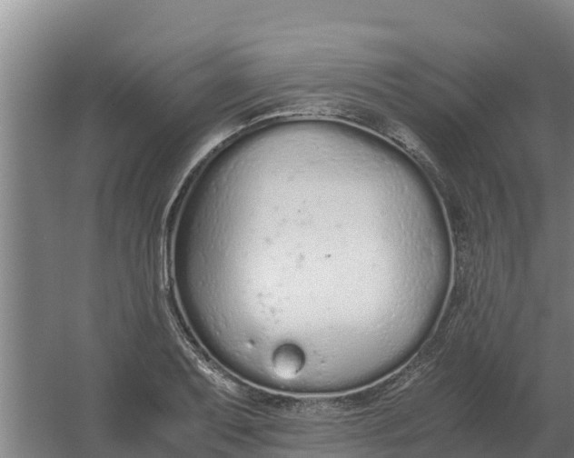 X0000059831079200511041740