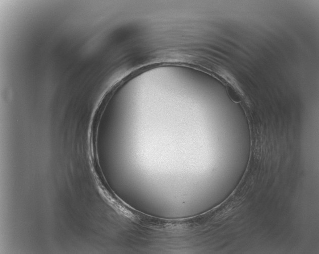 X0000059831080200511041740