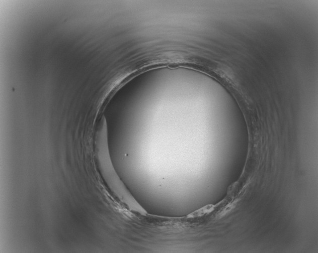 X0000059831081200511041740