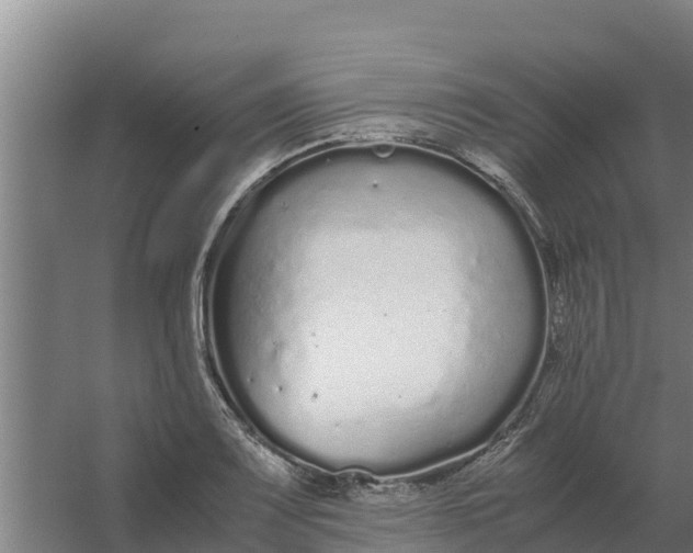 X0000059831083200511041740