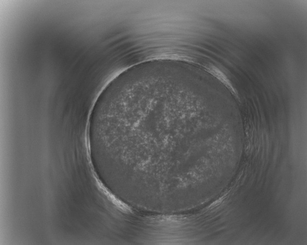 X0000059831084200511041740