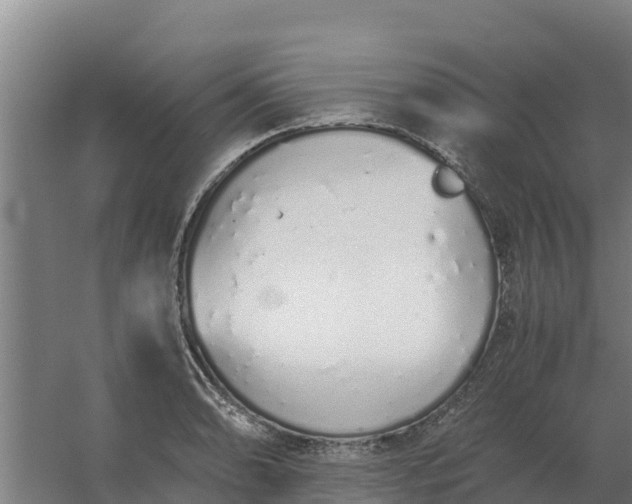 X0000059831086200511041740