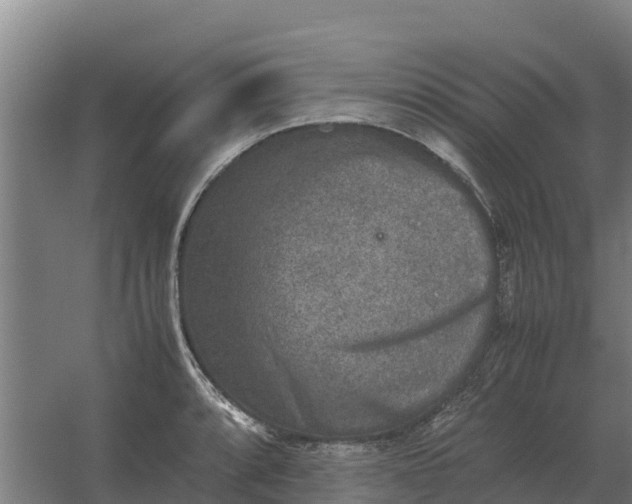 X0000059831088200511041739