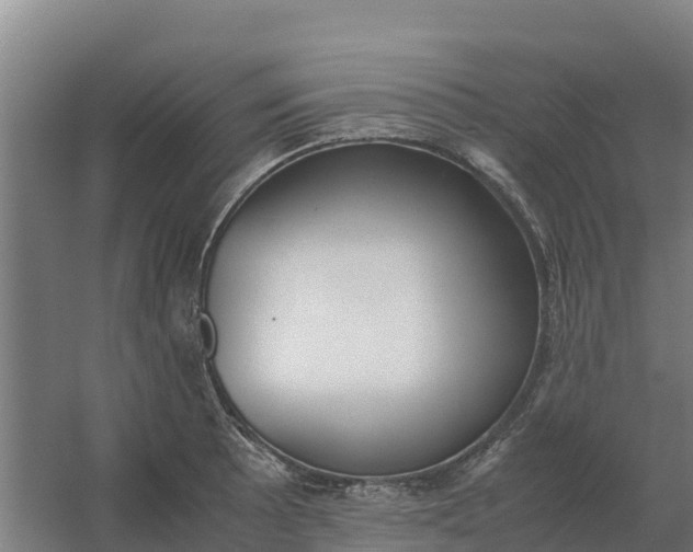 X0000059831089200511041739