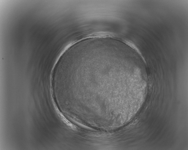 X0000059831091200511041739