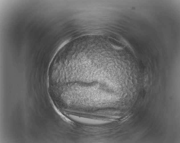 X0000059831095200511041739