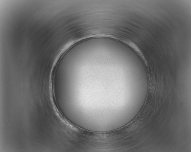 X0000059831096200511041739